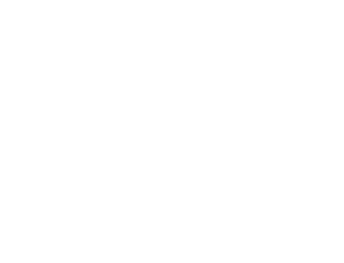DSC Ryeisland